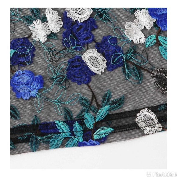 Embroidered Floral Sheer Mesh Crop Top - Picture 4 of 8